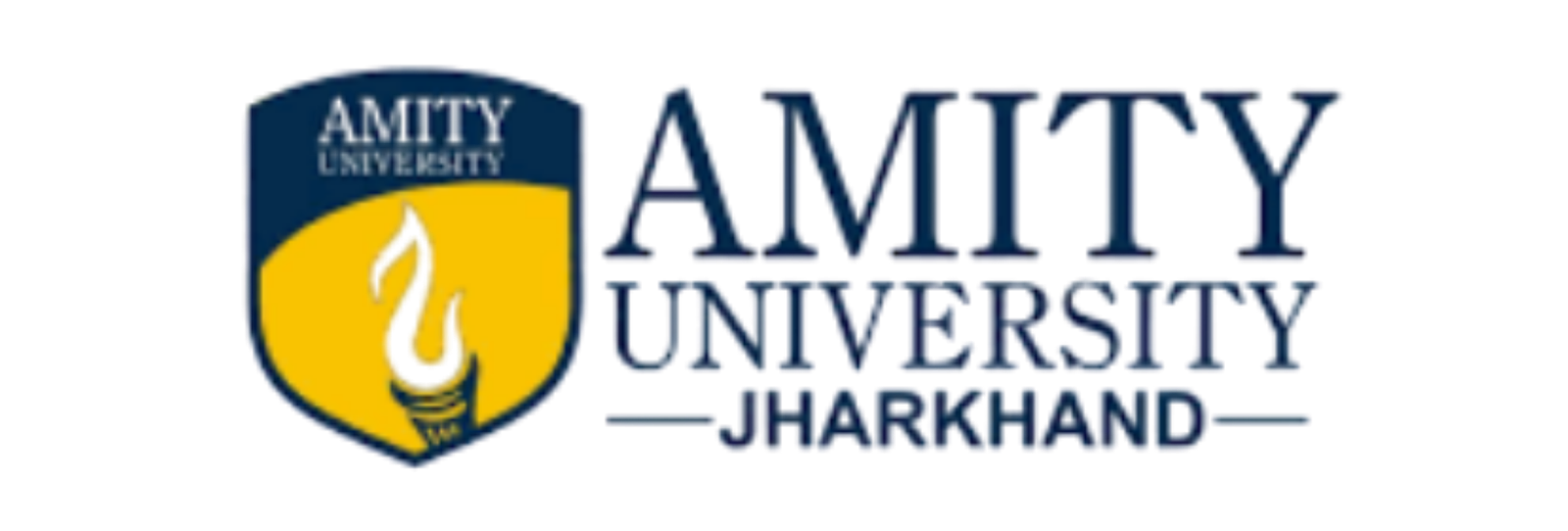 Amity University Jharkhand logo